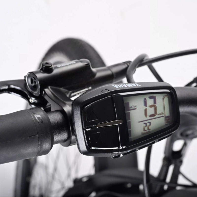 Rower elektryczny Winora Yucatan X10 Low black