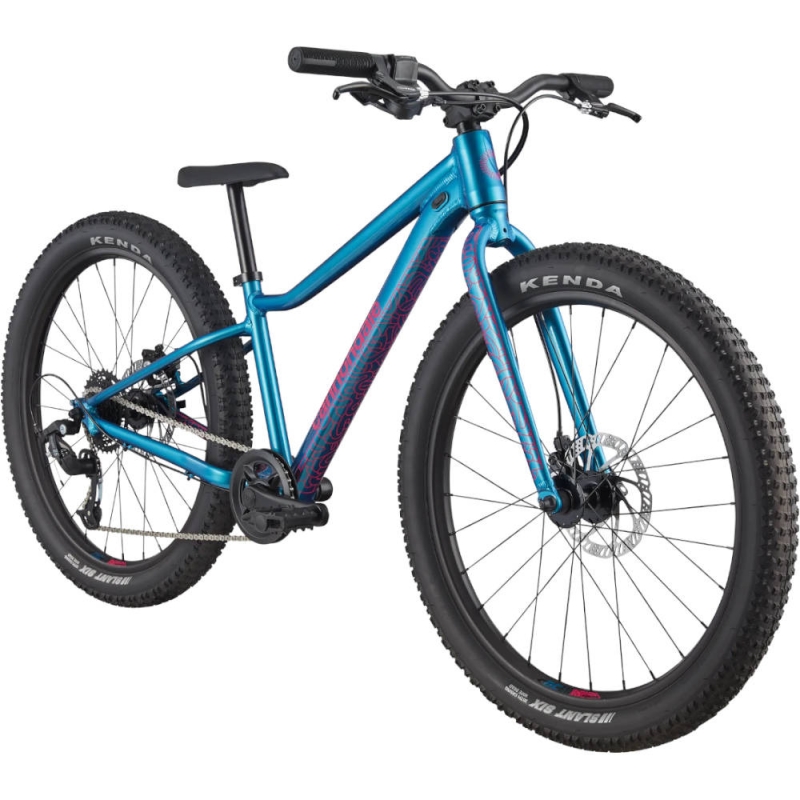 Rower dziecięcy Cannondale Kids Trail Plus 24 niebieski