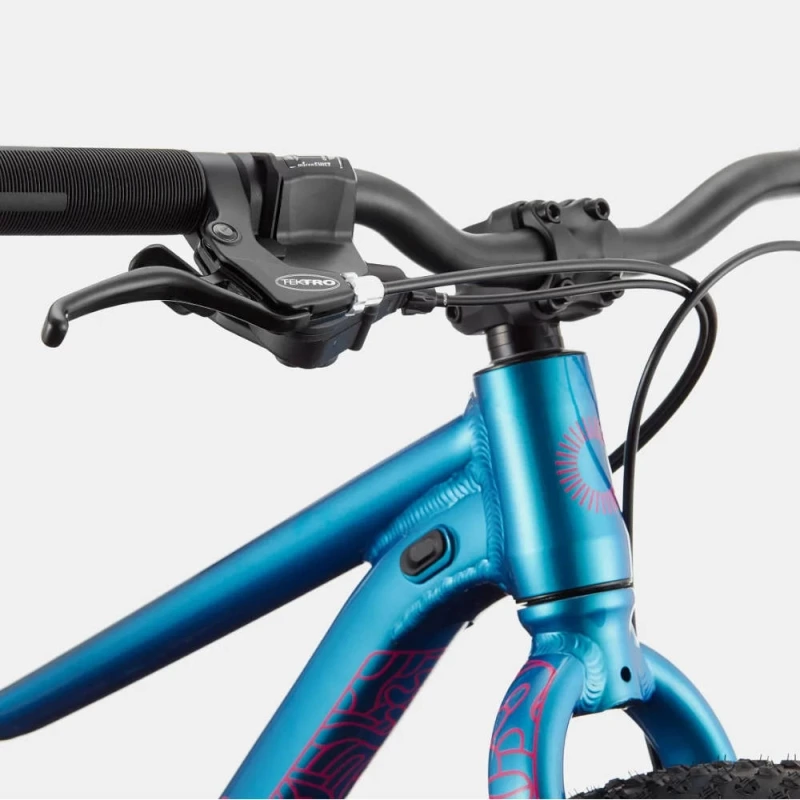 Rower dziecięcy Cannondale Kids Trail Plus 24 niebieski