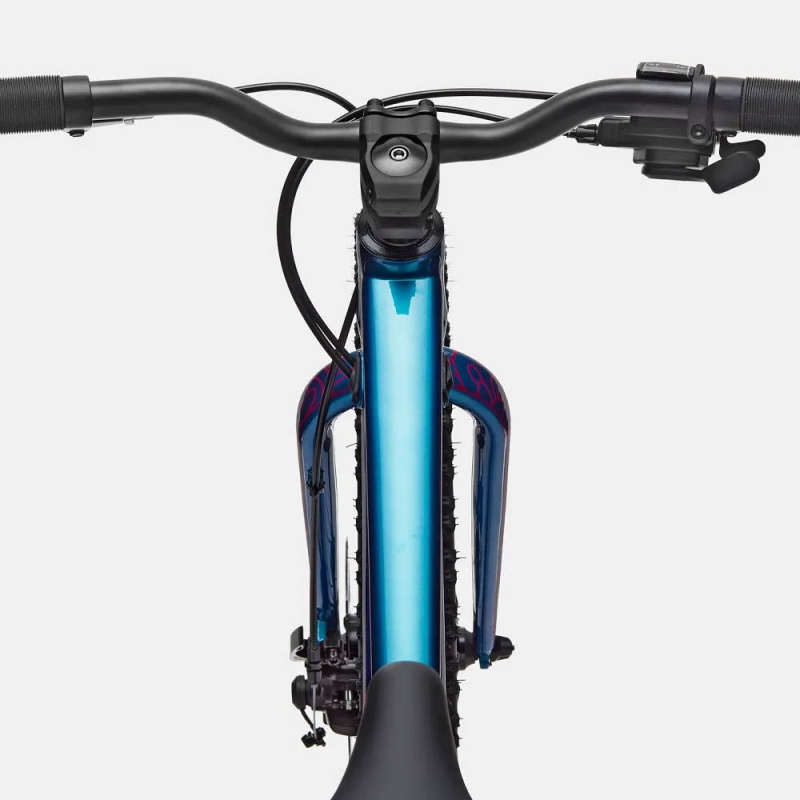 Rower dziecięcy Cannondale Kids Trail Plus 24 niebieski