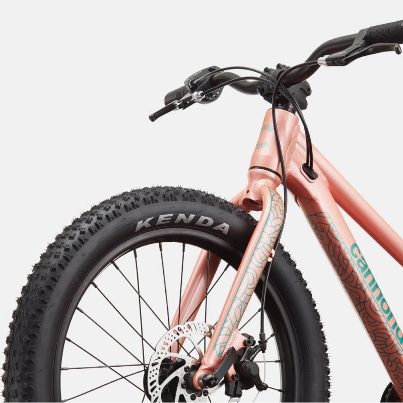 Rower dziecięcy Cannondale Kids Trail Plus 20 łososiowy
