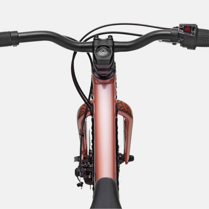 Rower dziecięcy Cannondale Kids Trail Plus 20 łososiowy