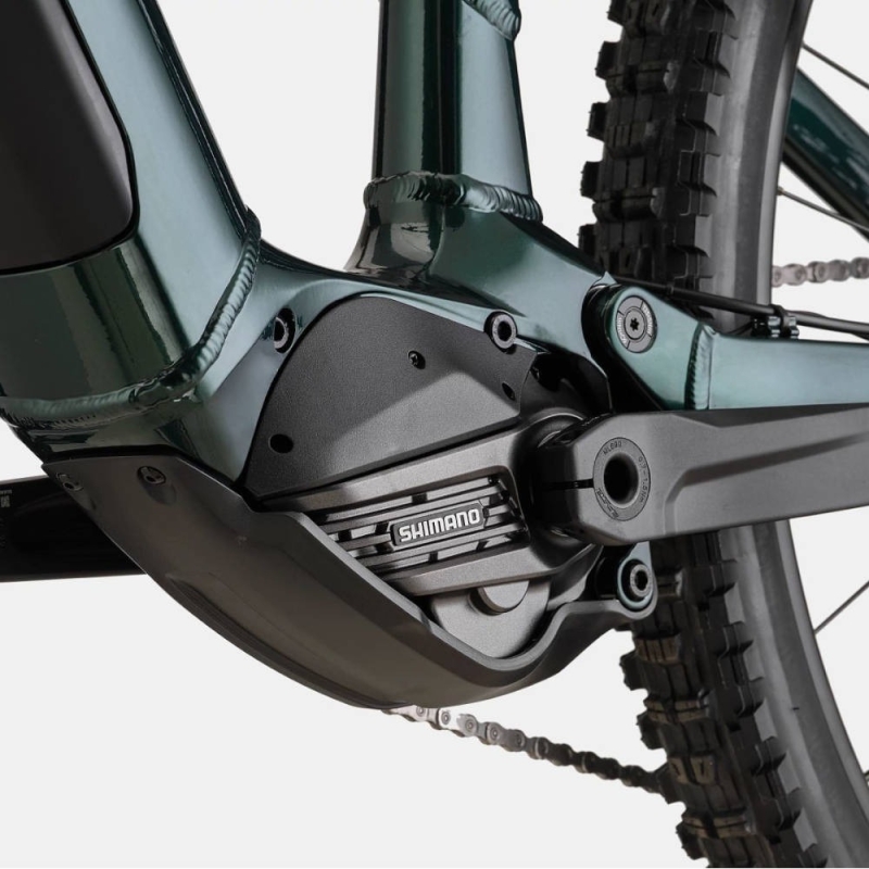 Rower elektryczny Cannondale Moterra Neo S1 ciemnozielony