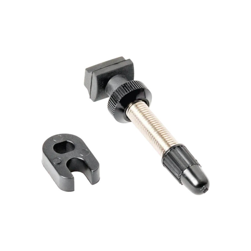 Wentyl DT Swiss Tubeless Road srebrny