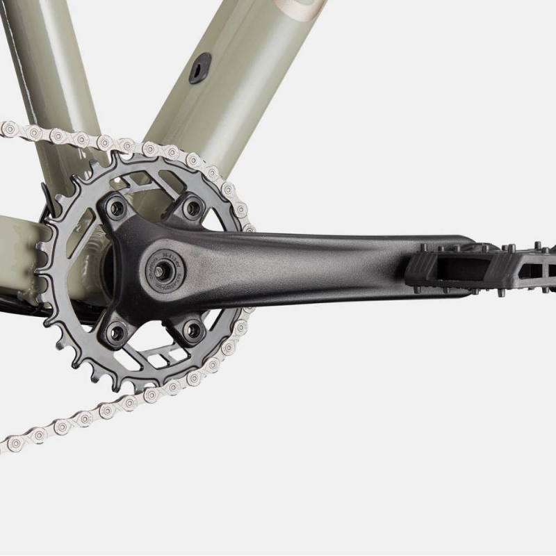 Rower MTB Cannondale Trail 1 beżowy 2025