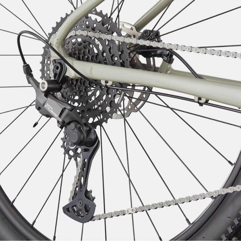 Rower MTB Cannondale Trail 1 beżowy 2025