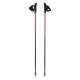 Kije do Nordic Walking Viking Pro-Trainer czerwone