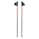 Kije do Nordic Walking Viking Pro-Trainer czerwone