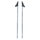 Kije do Nordic Walking Viking Forrester