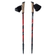 Kije do Nordic Walking Viking Kube PRO