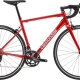 Rower szosowy Cannondale CAAD Optimo 1 czerwony