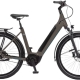 Rower elektryczny Winora Sinus R5f Low peat