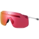 Okulary rowerowe Shimano S-Phyre SL CE-SPSL2 szare (ridescape road)