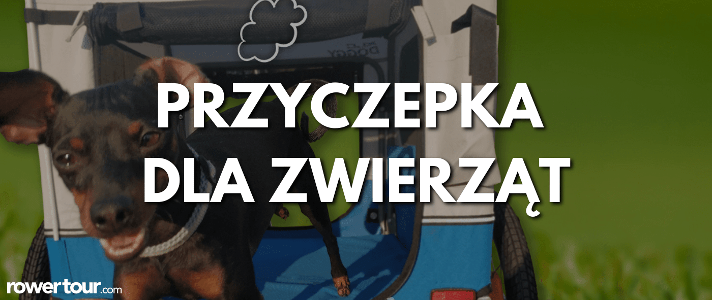 Rowertour testuje przyczepkę dla psa XLC Doggy Van