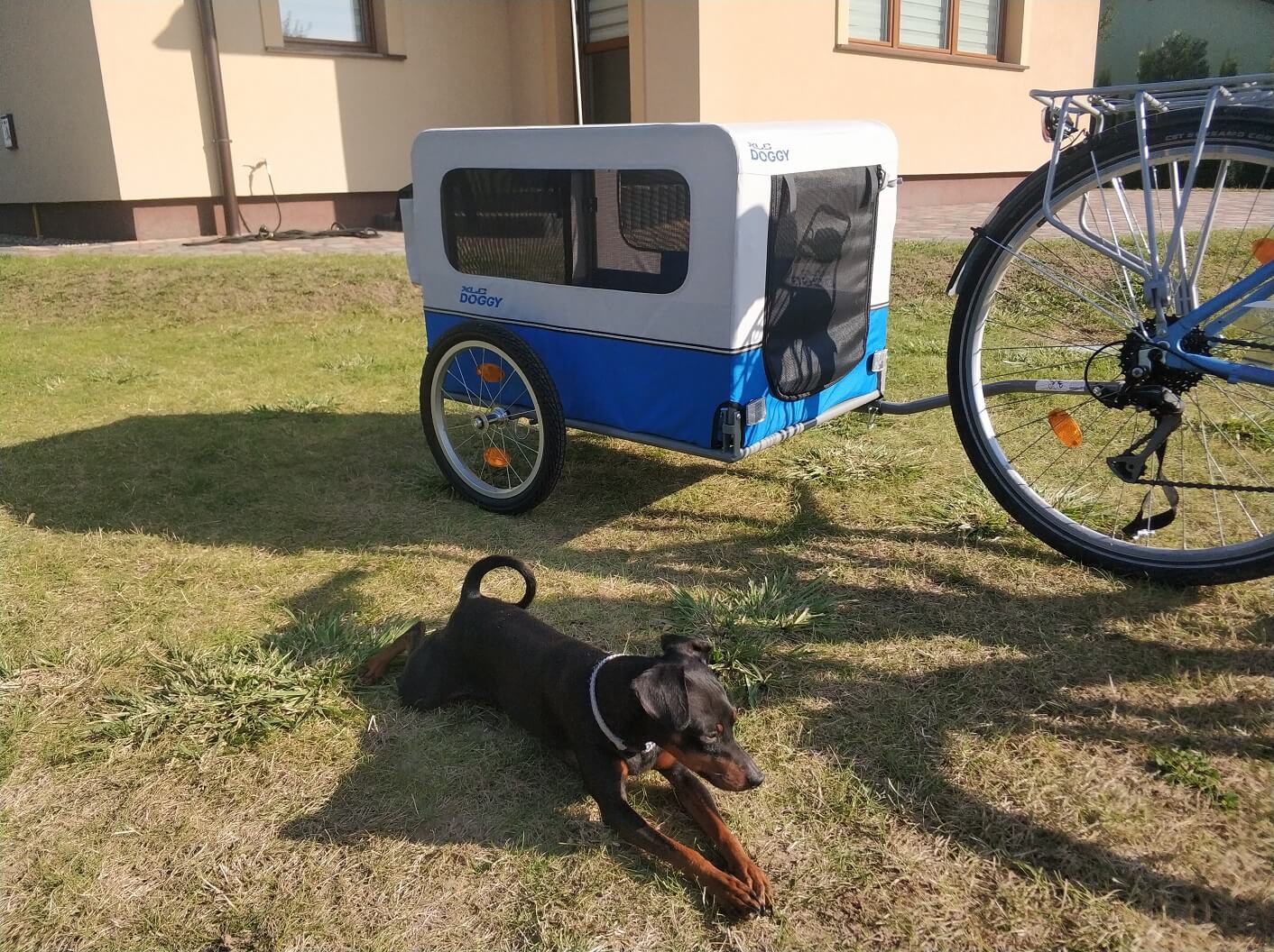 przyczepka rowerowa dla zwierząt xlc doggy van 