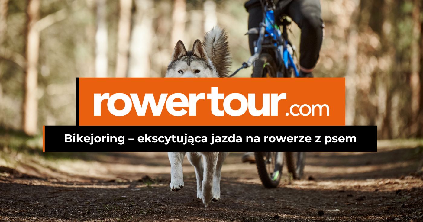 Bikejoring – ekscytująca jazda na rowerze z psem