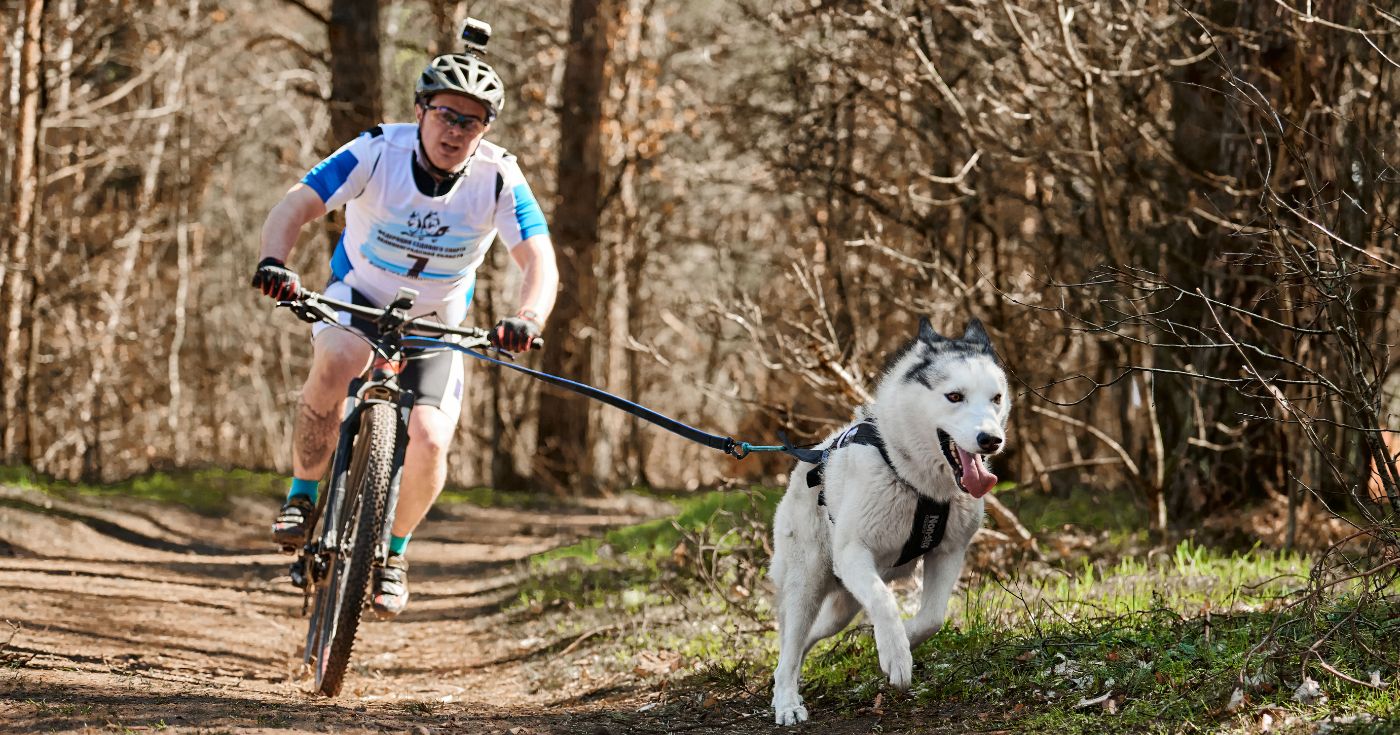 Kolarz jadący w wyścigu bikejoring