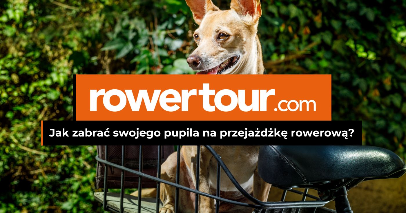 Koszyk na rower dla psa – jak zabrać swojego pupila na przejażdżkę?