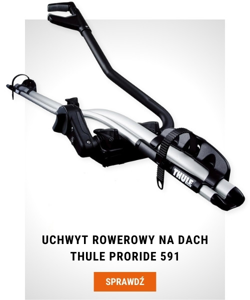 Uchwyt rowerowy na dach Thule ProRide 591 srebrny