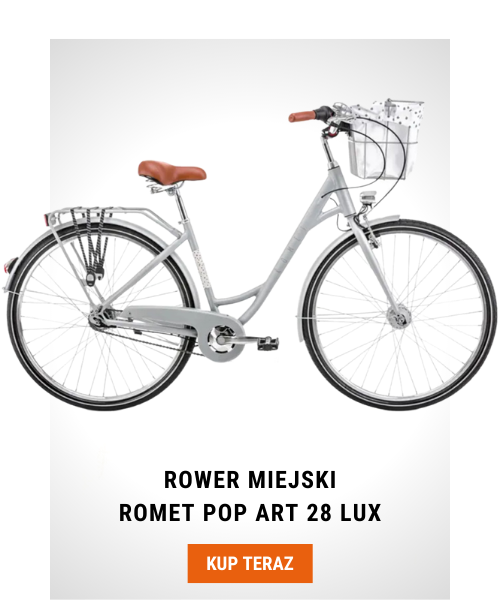 Rower Romet Pop Art 28 Lux szary