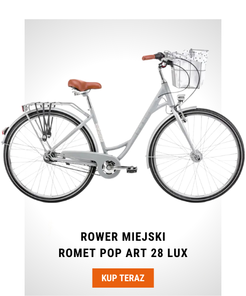 Rower Romet Pop Art 28 Lux szary