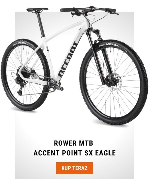 Rower MTB Accent Point SX Eagle