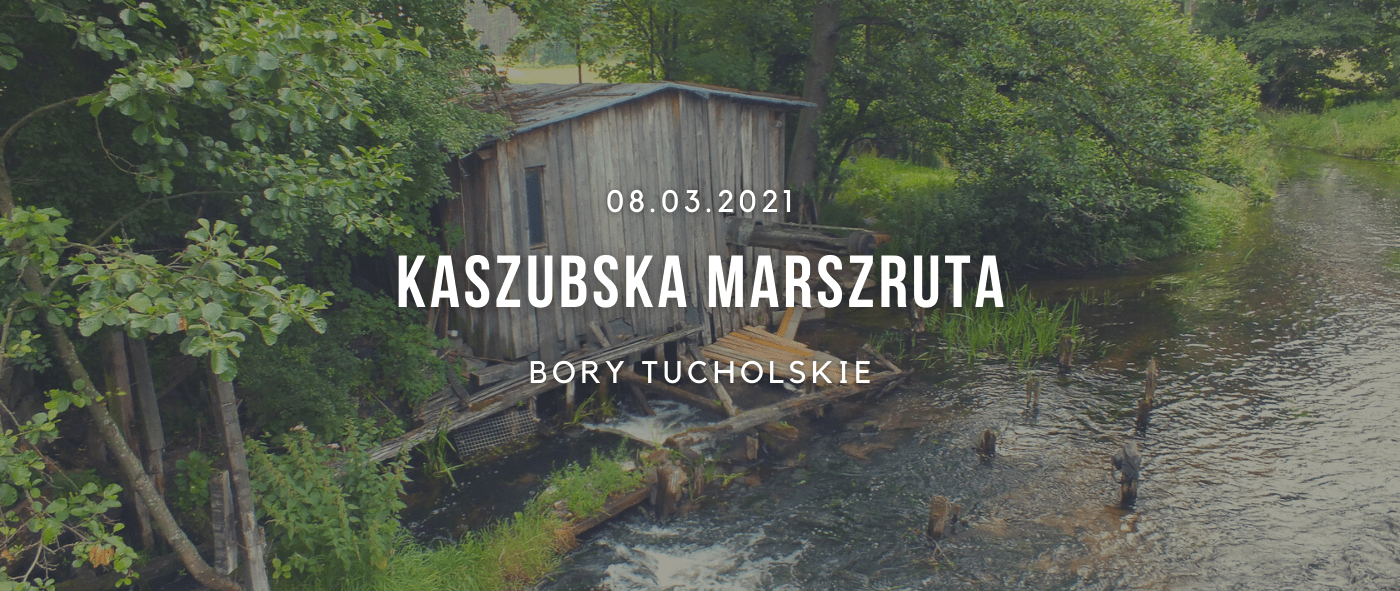 Kaszubska Marszruta - Bory Tucholskie zapraszają na rower