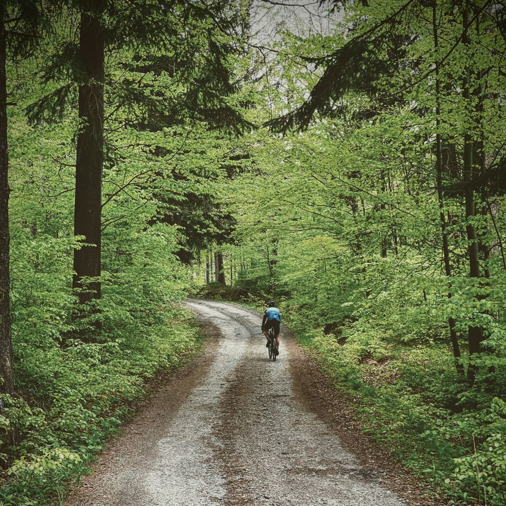 Leśna ścieżka na ultramaratonie gravel