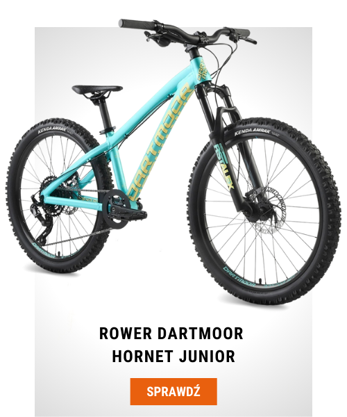 Rower MTB Dartmoor Hornet Junior Mint Banana