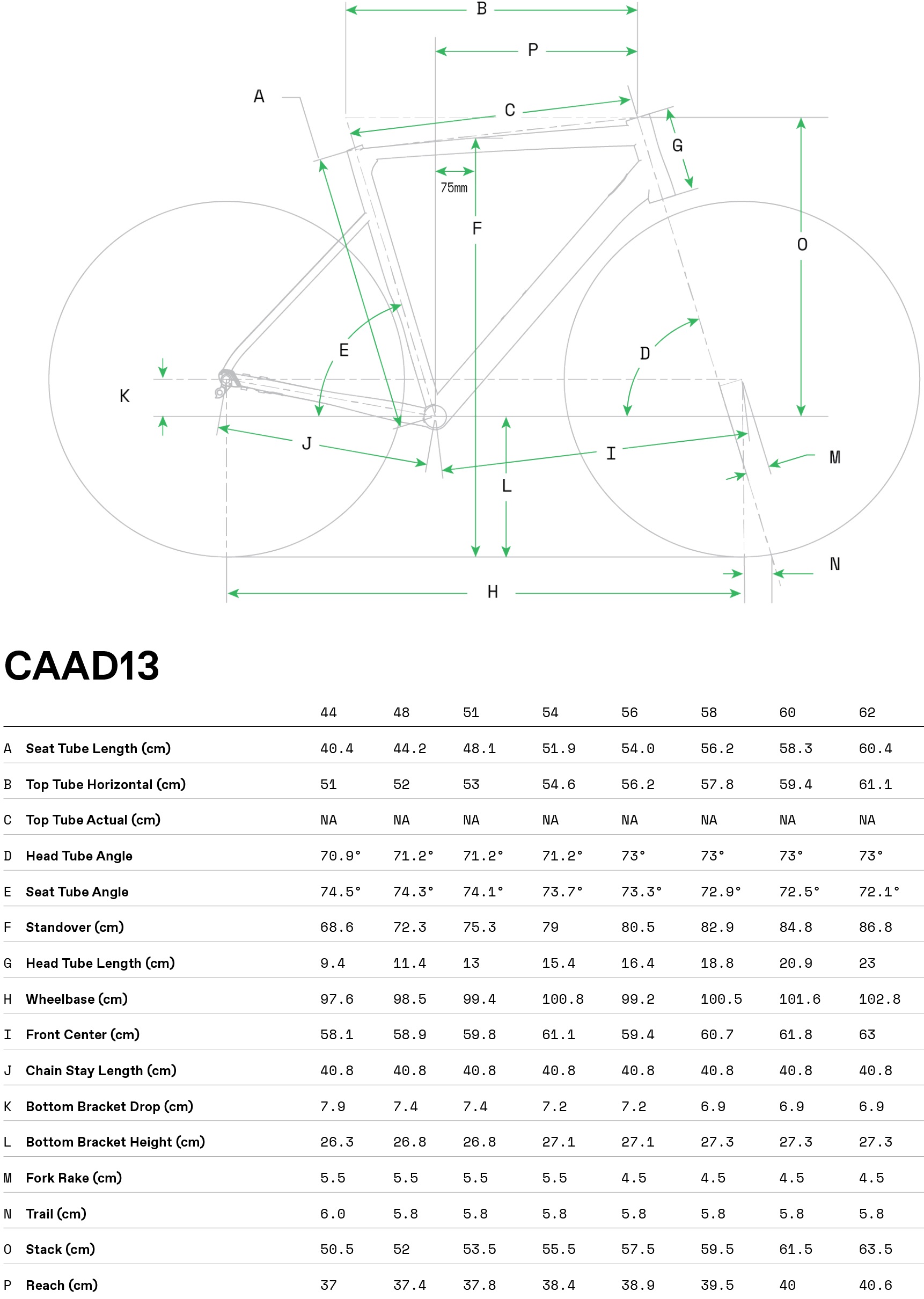 Geometria roweru Cannondale CAAD13