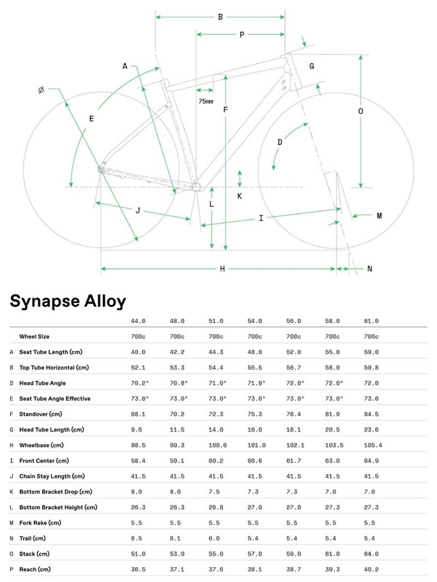 Geometria roweru Cannondale Synapse Alloy