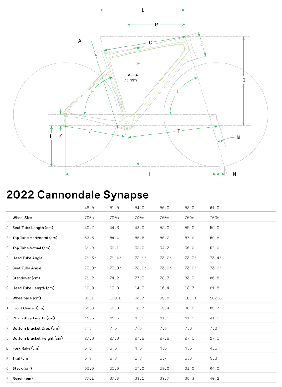 Geometria roweru Cannondale Synapse Carbon