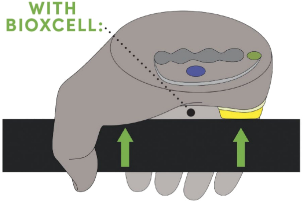 Technologia BioXcell