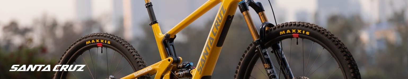 Santa Cruz