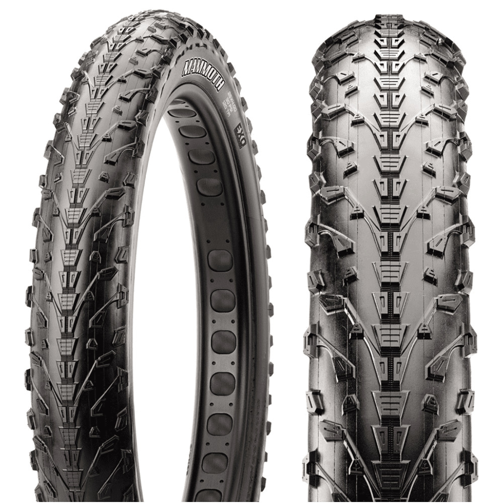 Maxxis mammoth shop