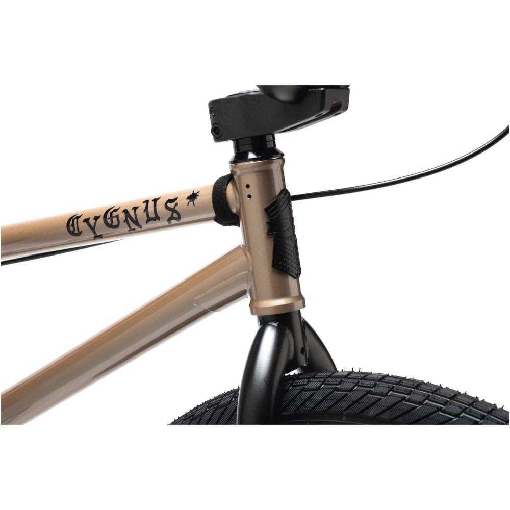 Dk cygnus shop